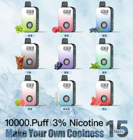 ICE FREEZE 10000 PUFFS拋棄式電子煙 四檔涼度調節 台灣現貨